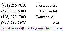 Text Box: (781) 255-7000          Norwood tel.(781) 828-5000              Canton tel.(508) 822-5000	      Taunton tel.(781) 562-1683                           FaxA.Salvatori@NewEnglandGroup.com
