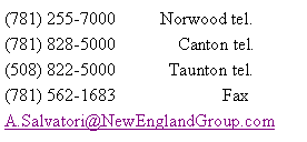 Text Box: (781) 255-7000          Norwood tel.(781) 828-5000              Canton tel.(508) 822-5000	 Taunton tel.(781) 562-1683                        FaxA.Salvatori@NewEnglandGroup.com